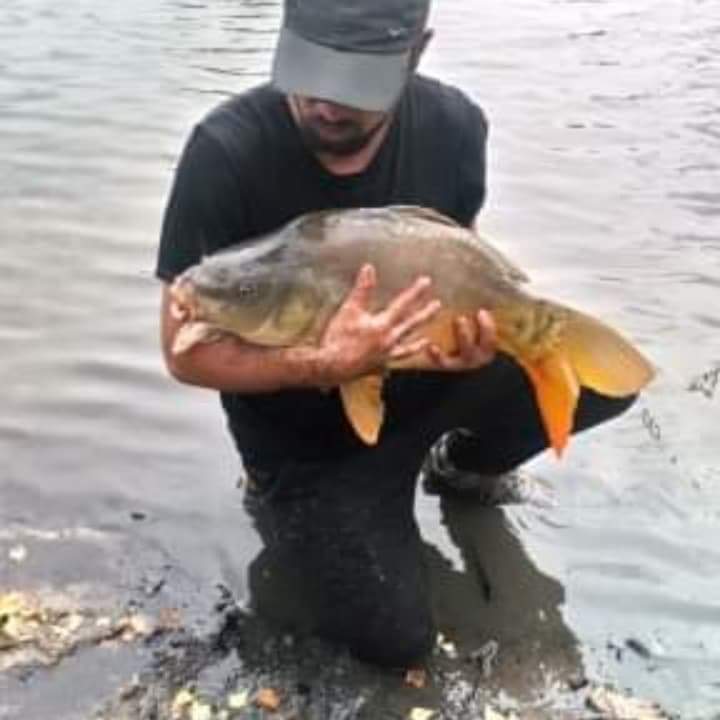Profil de Zacharie, 38 ans, Escort TS Monaco à Cellefrouin